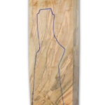 DTSP | FULL BLANK STOCK (X26)